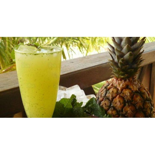 Suco Natural Mamão com Abacaxi e Limão 1L